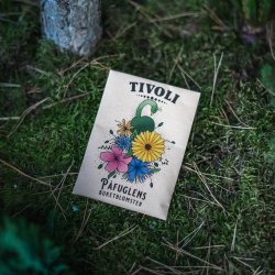 Pfuglens buketblomster, blomsterfr