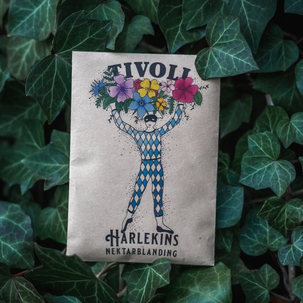 Harlekins Nektarblanding, Blomsterfr