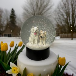 Snekugle - Olga &amp; Aslan