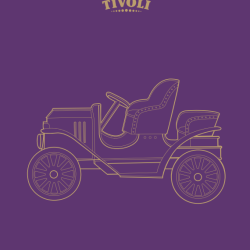 Genanvendelige karklude (2 stk) - Veteranbilerne