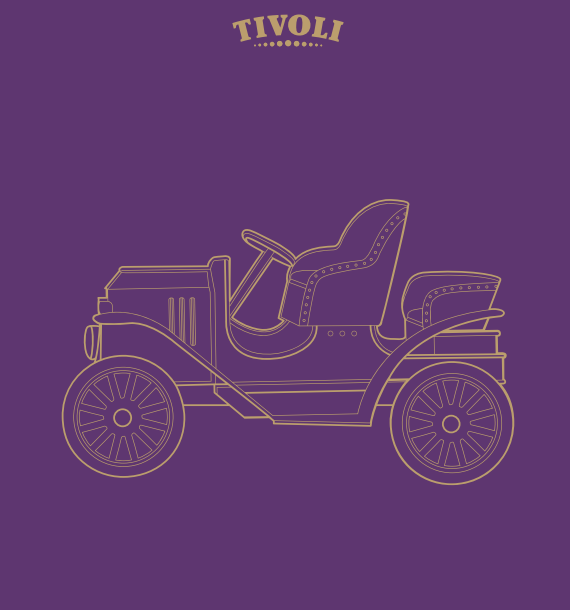 Genanvendelige karklude (2 stk) - Veteranbilerne