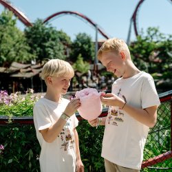 Tivoli T-shirt - Brn