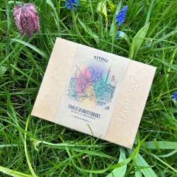 Tivoli's Flowerbox - with 4 different seed blends